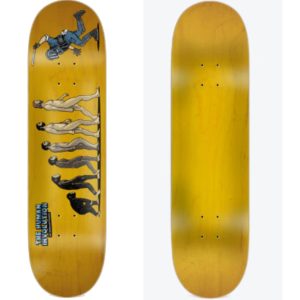 JART INVOLUTION 8.375"